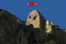 سنگ هایی شبیه خرس و جغد در پارک جمشیدیه تهران