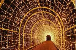 پل نشاط بزودی در منطقه ۷ به بهره‌برداری می‌رسد