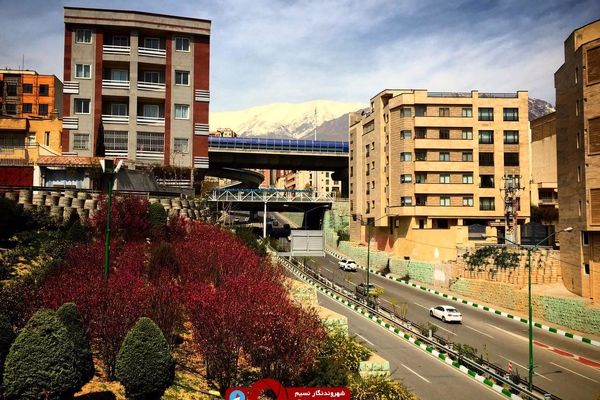 زیبایی های بهار در تهران