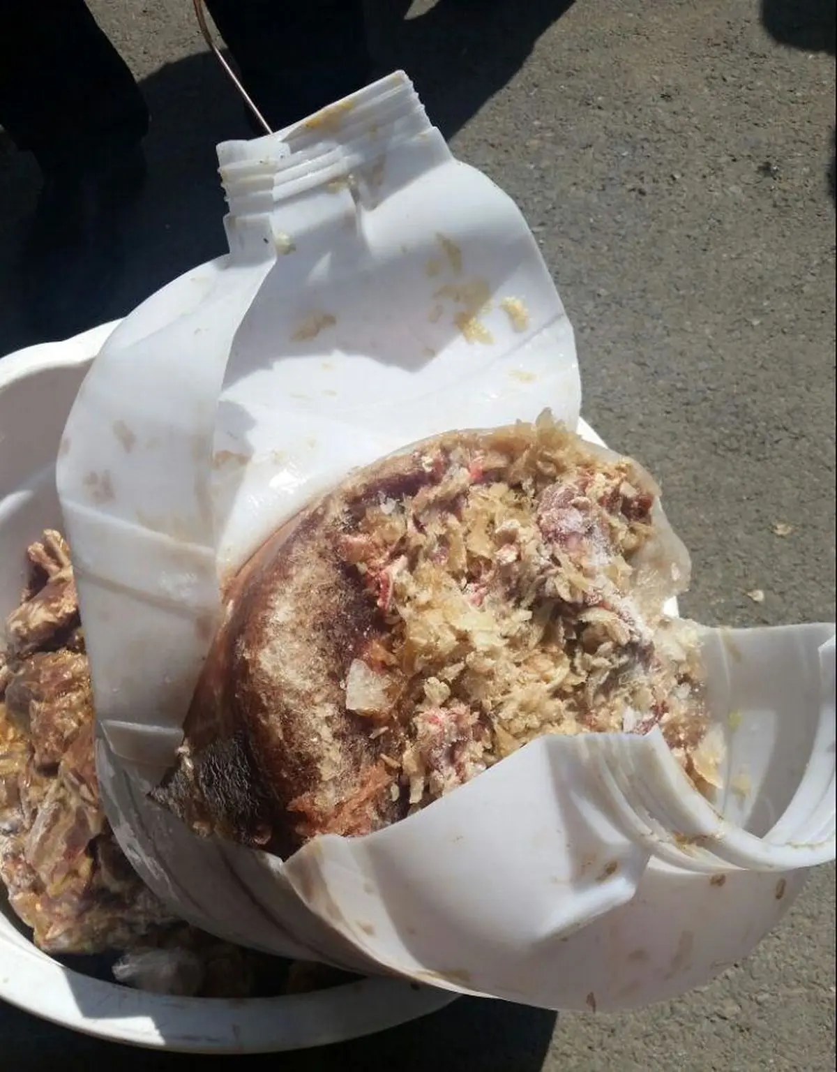 کشف مواد غذایی یخ‌زده و فاسد در رستوران‌های کن سولقان + تصویر