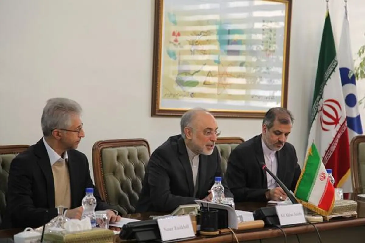 رئیس ایمنی هسته‌ای اسپانیا با صالحی دیدار کرد