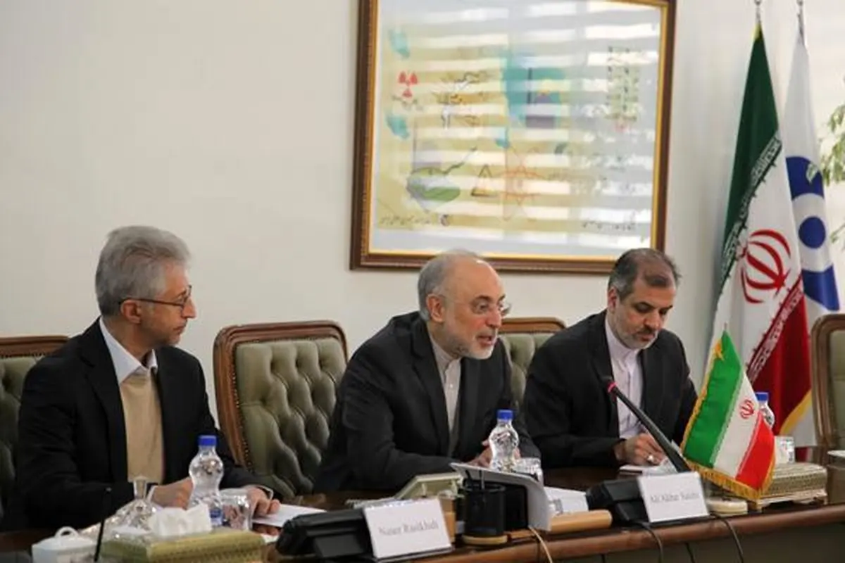 رئیس ایمنی هسته‌ای اسپانیا با صالحی دیدار کرد