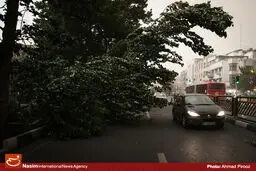 آماده‌باش نیروهای امدادی در پی هشدار هواشناسی/ وزش باد شدید در ۱۶ استان کشور