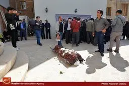 مراسم تشییع ثریا حکمت بازیگر سینما