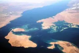 خشم مصری‌ها از واگذاری دو جزیره به عربستان/ ۱۱ معترض بازداشت شدند