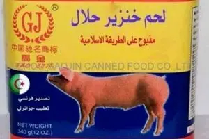 واردات ژلاتین خوکی تولیدکننده ایرانی را ورشکست کرد/ دولت حلال بودن ژلاتین‌های خارجی را بررسی نمی‌کند