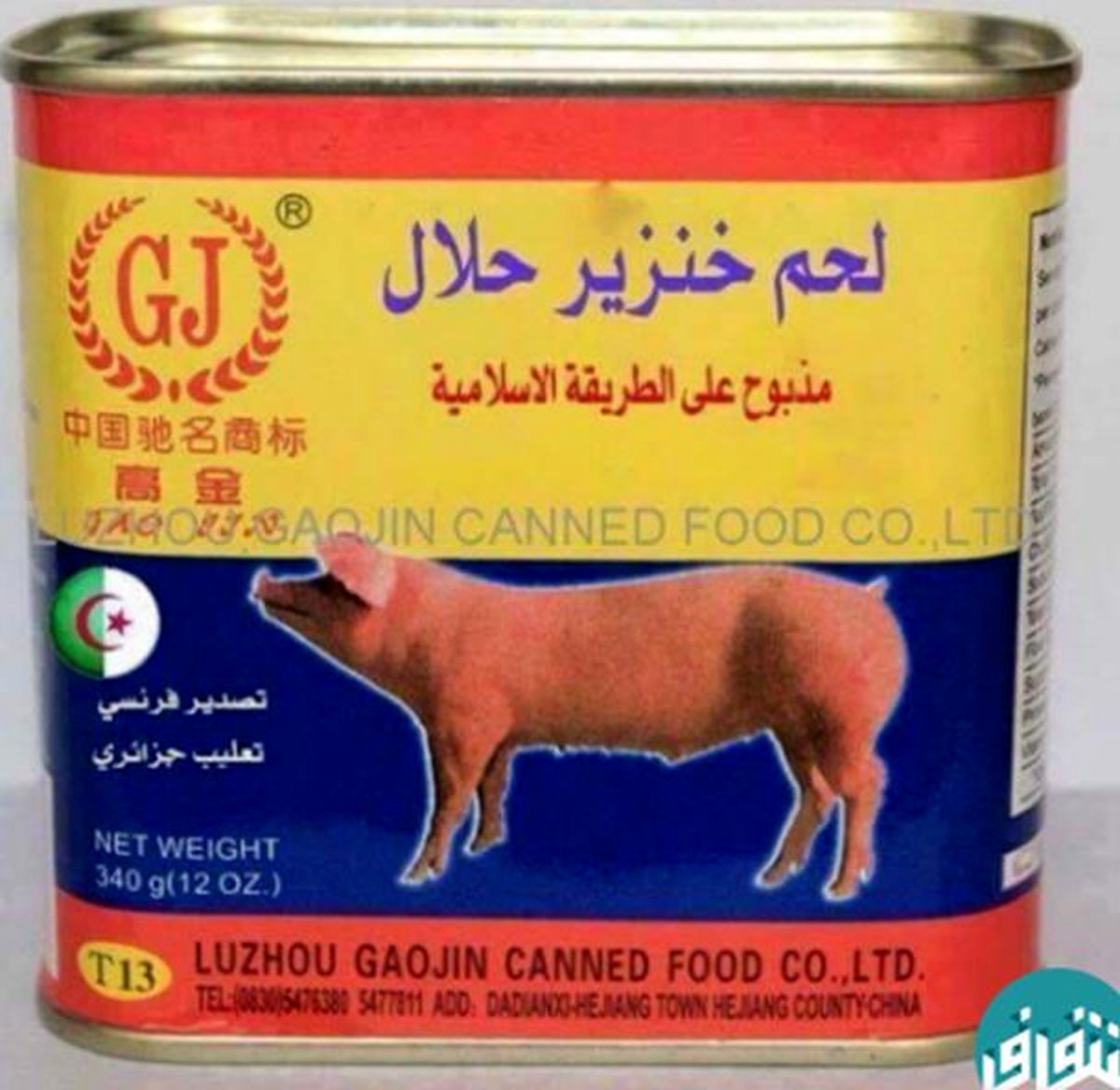 واردات ژلاتین خوکی تولیدکننده ایرانی را ورشکست کرد/ دولت حلال بودن ژلاتین‌های خارجی را بررسی نمی‌کند