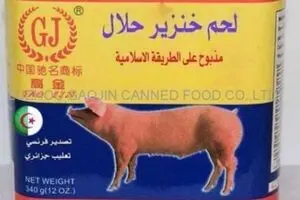 واردات ژلاتین خوکی تولیدکننده ایرانی را ورشکست کرد/ دولت حلال بودن ژلاتین‌های خارجی را بررسی نمی‌کند