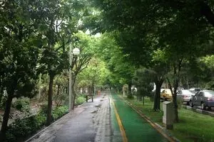 طبیعت بهاری در یک روز بارانی