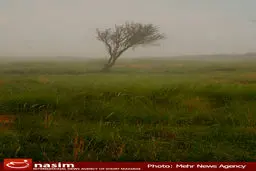 وزش باد شدید در نیمه شرقی کشور/ افزایش دما از روز چهارشنبه