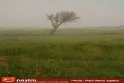 وزش باد شدید در نیمه شرقی کشور/ افزایش دما از روز چهارشنبه