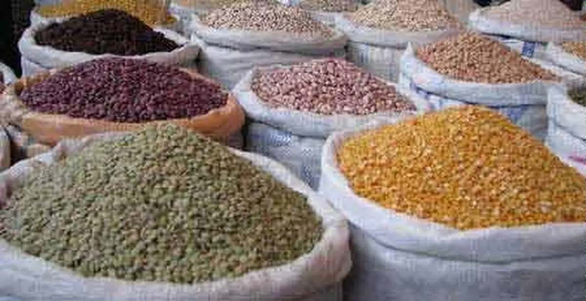 واردات حبوبات به صرفه است/ ایران بزرگترین واردکننده عدس از کاناداست/ حبوبات ۱۰ تا ۱۵ درصد گران شد