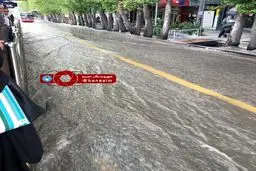 آب گرفتگی در محدوده پل پارک وی