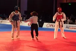 حسینی هم فینالیست شد