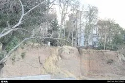 باغات و درختان شهر تهران شناسنامه‌دار شدند