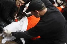 پرونده شکایت از سازمان 