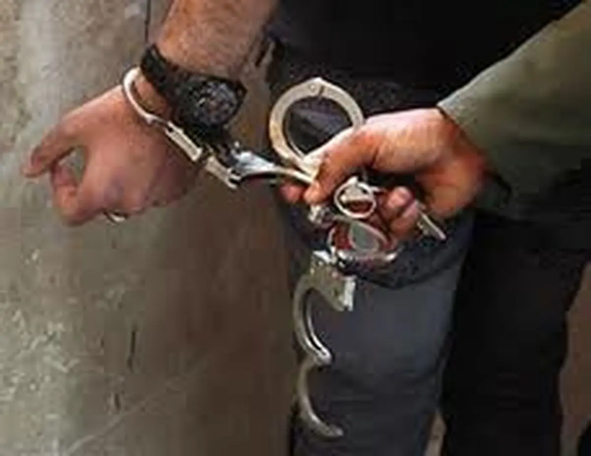 سرقت از خانه‌ میلیارد‌رهای شرق تهران با دوچرخه/ مالباختگان به پلیس مراجعه کنند