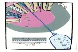 آغاز نخستین جشنواره سلامت و هنر در فرهنگسرای نیاوران