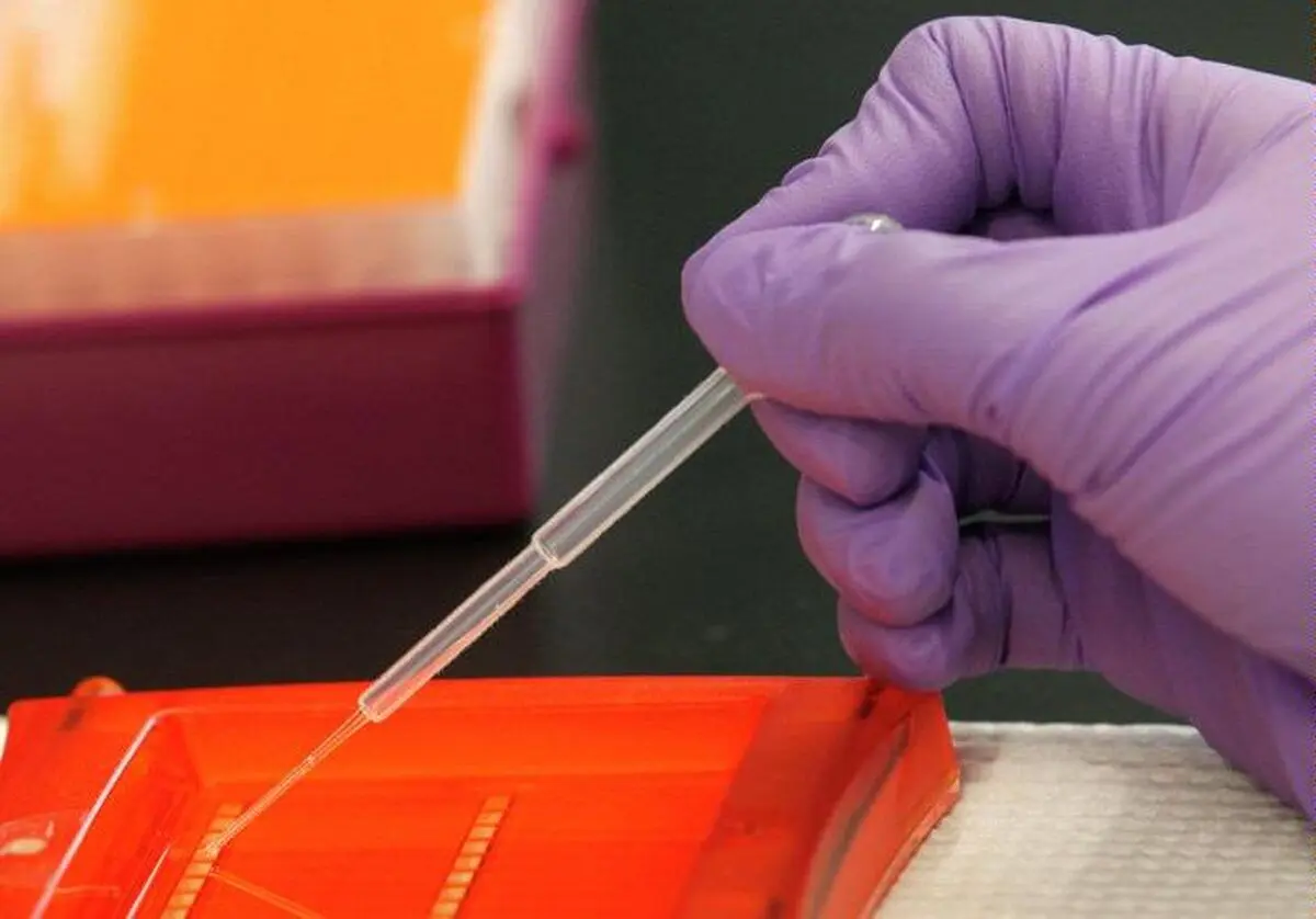 اجباری شدن آزمایش DNA برای تمام شهروندان کویتی