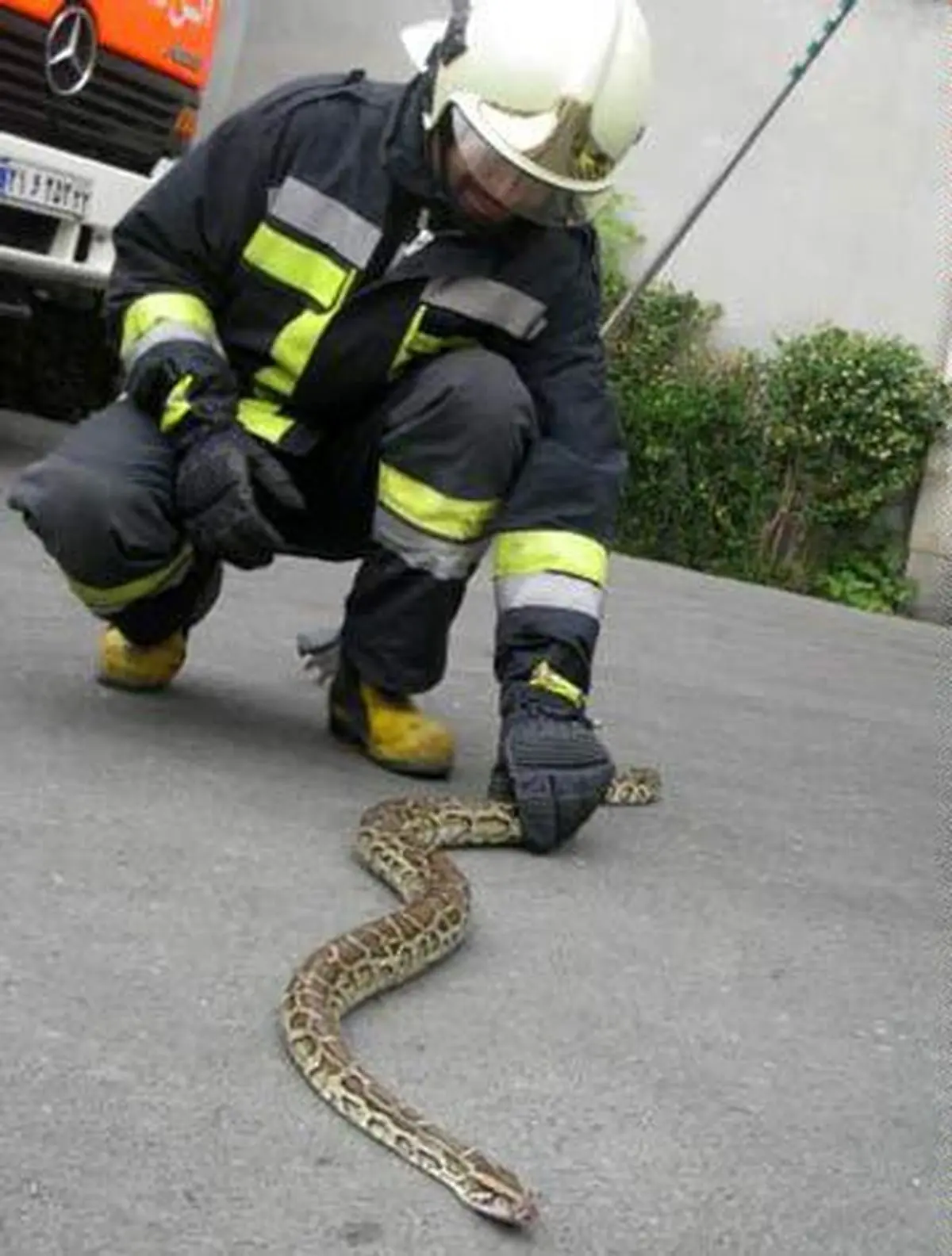 مسئول ایستگاه شماره دو آتش نشانی شهر دوگنبدان از صید ماری به طول ۲ متر در اتاق خواب یک منزل مسکونی در مرکز این شهرستان خبر داد/ ایرنا