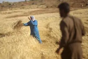 هشدار 