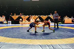 ۴ مدال طلا، ۵ نقره و ۴ برنز حاصل کار آزادکاران نوجوان در جام فدراسیون آذربایجان