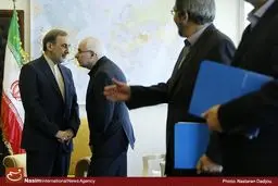 دیدار علی‌اکبر ولایتی با نماینده دبیر کل سازمان ملل در امور عراق