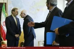دیدار علی‌اکبر ولایتی با نماینده دبیر کل سازمان ملل در امور عراق