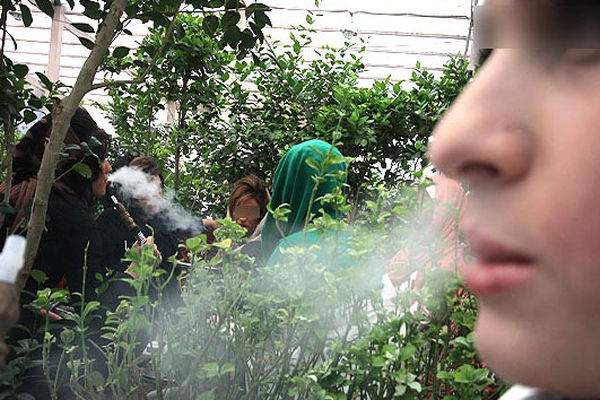 ۱۸ درصد دختران ایرانی قلیان می‌کشند/ تهیه توتون قلیان‌ها از توتون‌های خراب سیگار