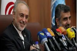 حضور صالحی در نشست کمیسیون امنیت ملی مجلس/بررسی مسائل فنی برجام و تبادل آب سنگین