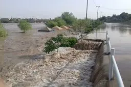 وزش باد در بیشتر نقاط کشور/ احتمال وقوع سیلاب و آبگرفتگی در ۷ استان