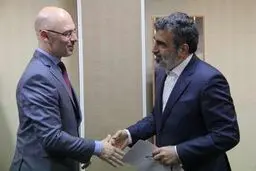 اعلام آمادگی لهستان برای توسعه همکاری با سازمان انرژی اتمی