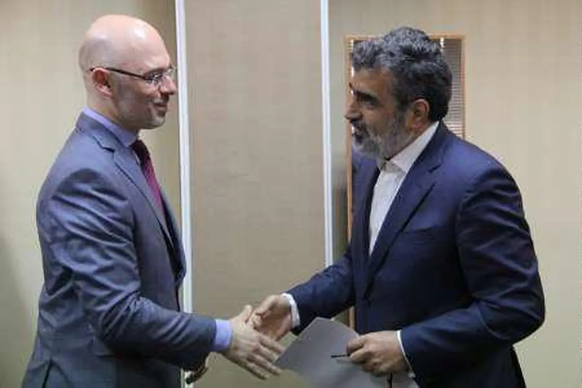 اعلام آمادگی لهستان برای توسعه همکاری با سازمان انرژی اتمی