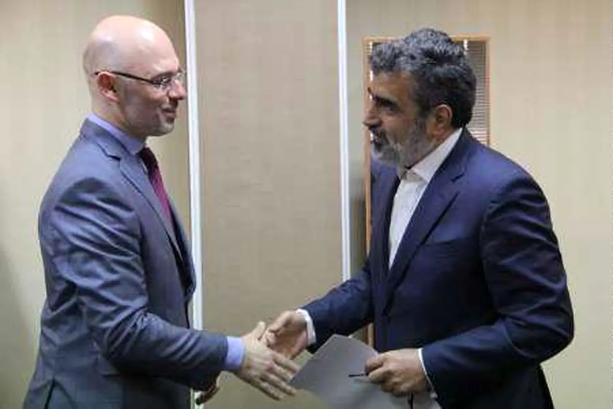 اعلام آمادگی لهستان برای توسعه همکاری با سازمان انرژی اتمی