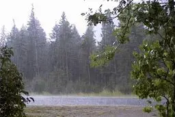 رشد ابر و ‌وزش باد شدید در پایتخت/ رگبار و تندباد در چهار استان