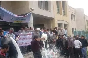 اعتراض دامداران به دلیل واردات بیش از حد است/ در ۳۰ روز گذشته ۱۳۰۰۰ تن شیرخشک وارد کشور شد