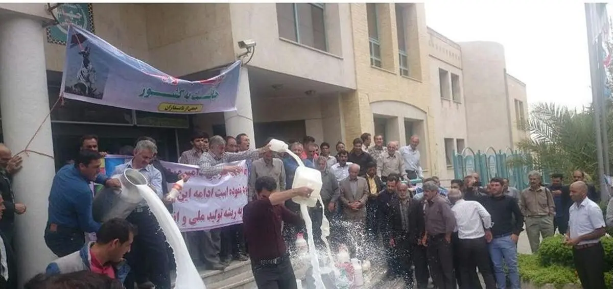 اعتراض دامداران به دلیل واردات بیش از حد است/ در ۳۰ روز گذشته ۱۳۰۰۰ تن شیرخشک وارد کشور شد