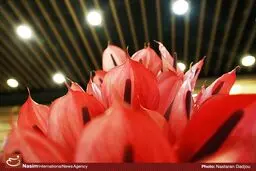 مراسم افتتاحیه چهاردهمین نمایشگاه بین‌المللی گل و گیاه