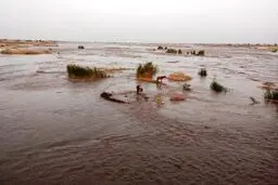 سیل به منازل مسکونی ۳ شهرستان استان سمنان خسارت وارد کرد