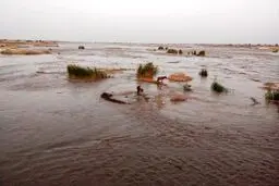 سیل به منازل مسکونی ۳ شهرستان استان سمنان خسارت وارد کرد