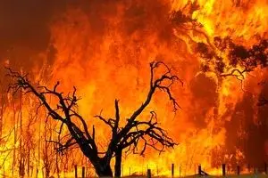 فرمانده یگان حفاظت منابع طبیعی خوزستان از اطفای کامل حریق جنگل‌های شهرستان باغملک پیش از ظهر امروز خبر داد