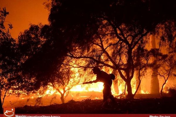 آتش در جنگل‌های گیلانغرب دوباره شعله‌ور شد