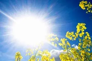 هوای گرم در تهران تا ۳ روز آینده ماندگار است