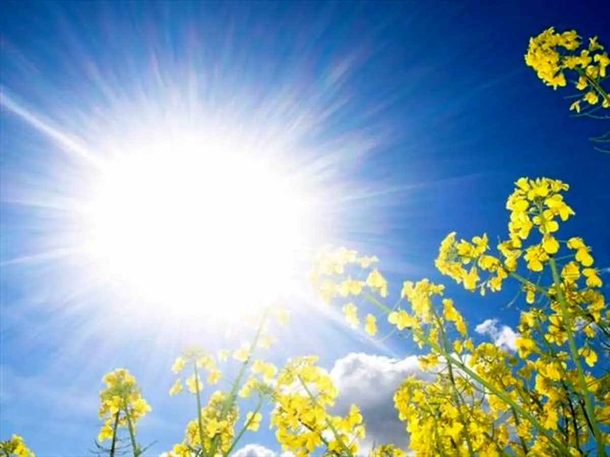 هوای گرم در تهران تا ۳ روز آینده ماندگار است