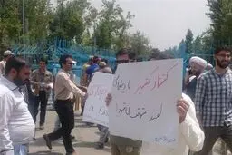 تجمع دانشجویان در حمایت از مردم کشمیر در سراسر کشور