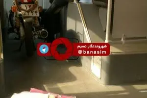 عکس خبری :: مسافر عجیب BRT تهران
