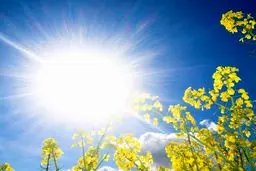 گرما، جان یک نفر را در اهواز گرفت