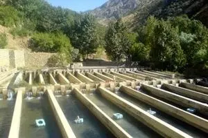 اجرای طرح ۳۰۰۰ تنی پرورش ماهی با تسهیلات ۶۹۰ میلیاردی