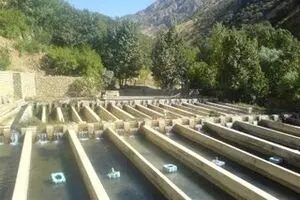 اجرای طرح ۳۰۰۰ تنی پرورش ماهی با تسهیلات ۶۹۰ میلیاردی