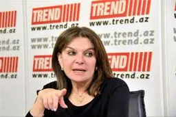 حمایت عربستان سعودی از منافقین، وقت تلف کردن است